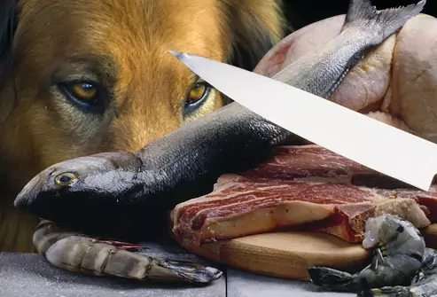 Les chiens peuvent-ils manger du poisson cru ?