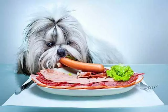 Les chiens peuvent-ils manger du bacon cru ? Le bacon est-il mauvais pour les chiens ?